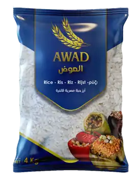 Egyptian rice